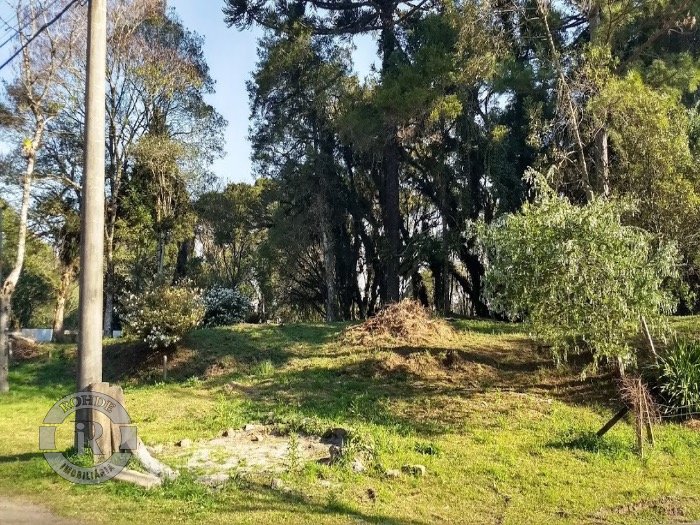 TERRENO EM CANELA