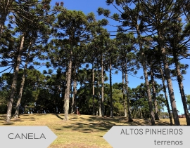 Terrenos à venda no Altos Pinheiros em Canela
