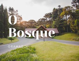 Um bosque em Gramado